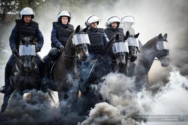 Jak przygotować się do egzaminu: wizja testu do policji krok po kroku