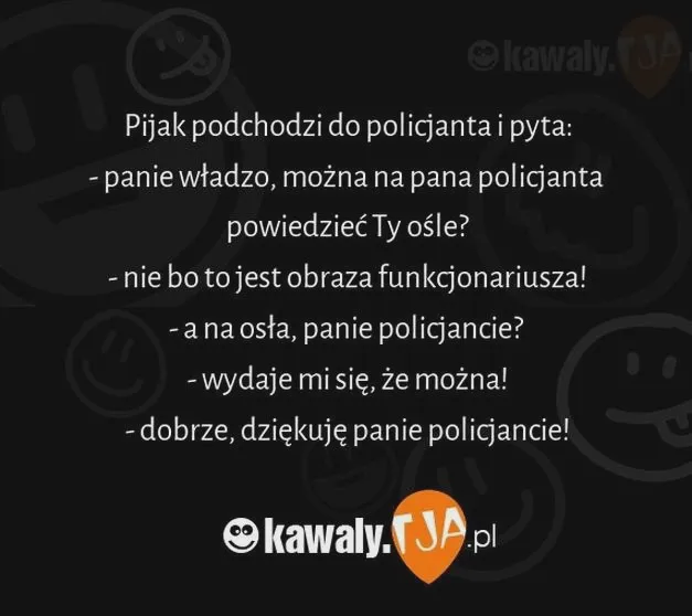Obraza funkcjonariusza – jakie konsekwencje prawne ci grożą?