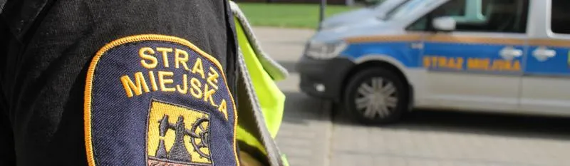 Kierowanie ruchem drogowym