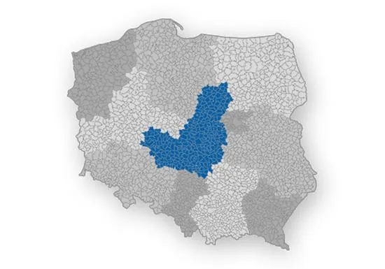 Postępowanie apelacyjne