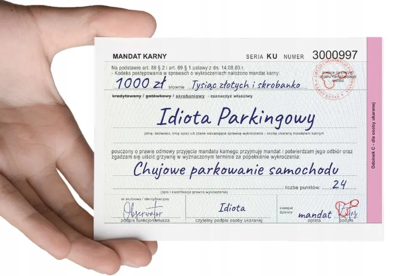 Prawne uwarunkowania grzywny