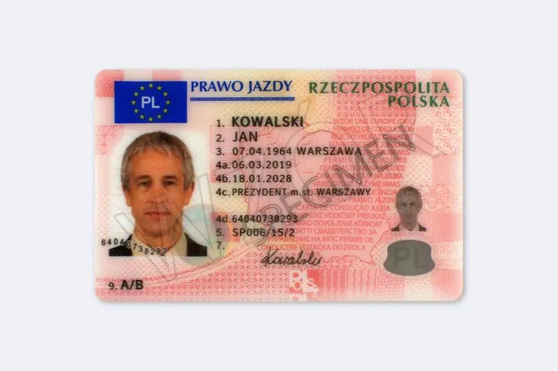 Przewodnik po zatrzymaniu prawa jazdy