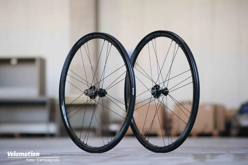 Rola WTO w zwalczaniu przestępczości transgranicznej