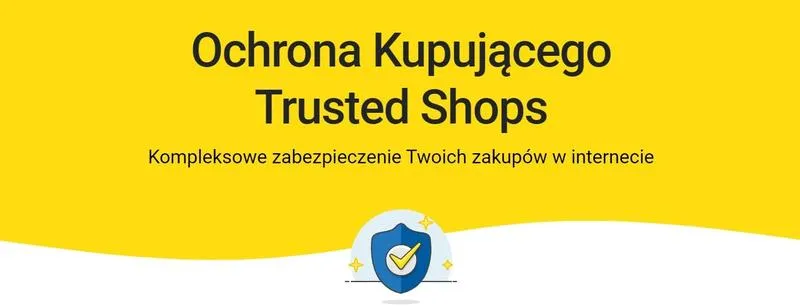 Ryzyko oszustw online