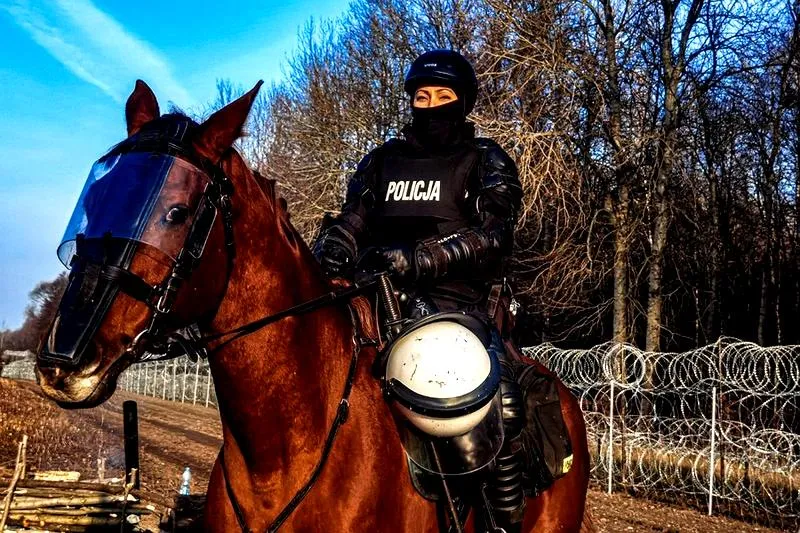 Służba w policji konnej