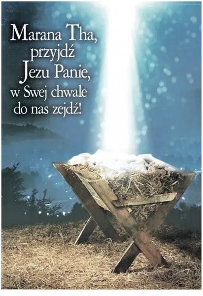 Uzasadnienie wyroku