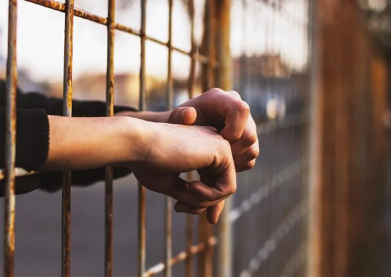 Wybór miejsca praktyk i rozwój kariery