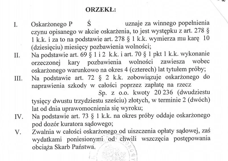 Wyrok w sprawie karnej