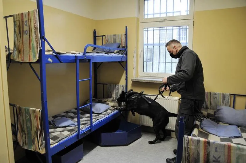 Zabezpieczenie zawartości paczki